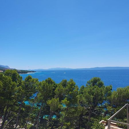 Inas Place Baska Voda Luaran gambar